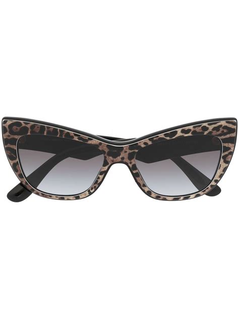 dolce gabbana sunglasses leopard print|dolce gabbana sunglasses men's.